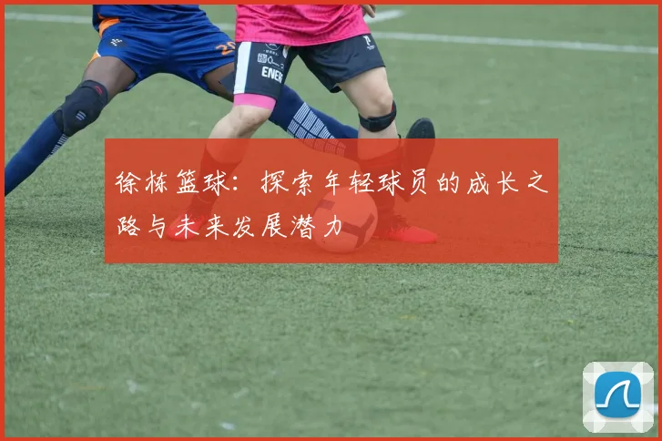 徐栋篮球：探索年轻球员的成长之路与未来发展潜力