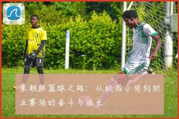 朱朝阳篮球之路：从校园小将到职业赛场的奋斗与成长