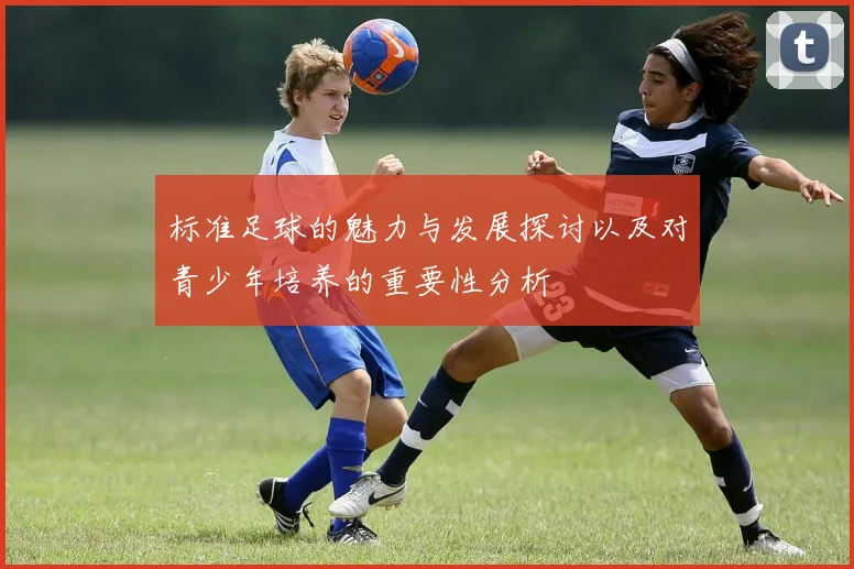 标准足球的魅力与发展探讨以及对青少年培养的重要性分析