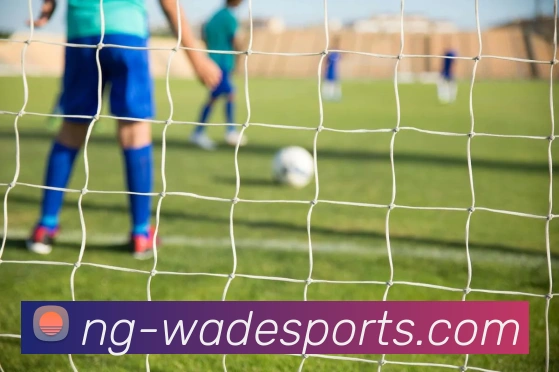 韦德体育平台生态图